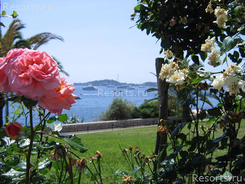 Hotel La Voile d'Or 3